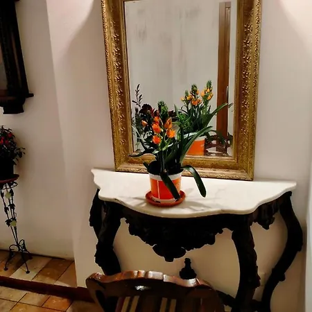 Daire Casa Maria Grazia Tipico Del Centro Storico Di Ad Un Passo Da Piazza Del Campo Siena