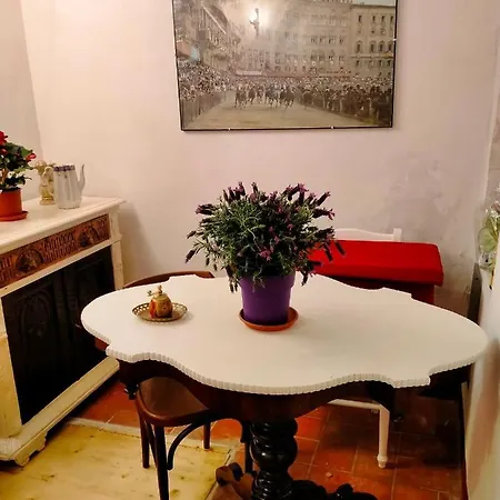 Casa Maria Grazia Tipico Del Centro Storico Di Ad Un Passo Da Piazza Del Campo Daire