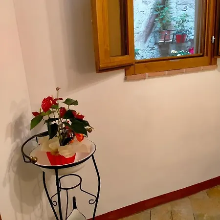 Casa Maria Grazia Tipico Del Centro Storico Di Ad Un Passo Da Piazza Del Campo Daire
